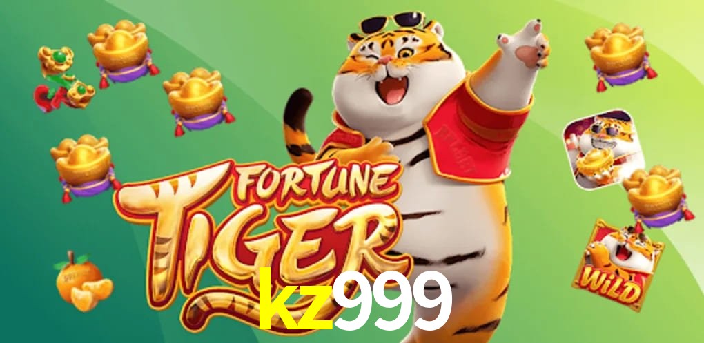 Experiência VIP kz999